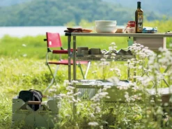 Shallow Mesh Tray 1 Unit