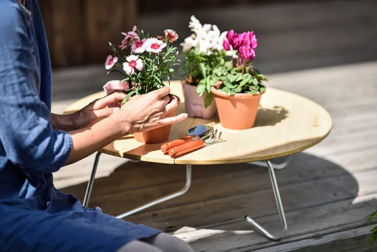 Single Action Table Low M - Renewed